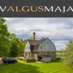kaupokalda-com-20190520-20190520-DJI_0888